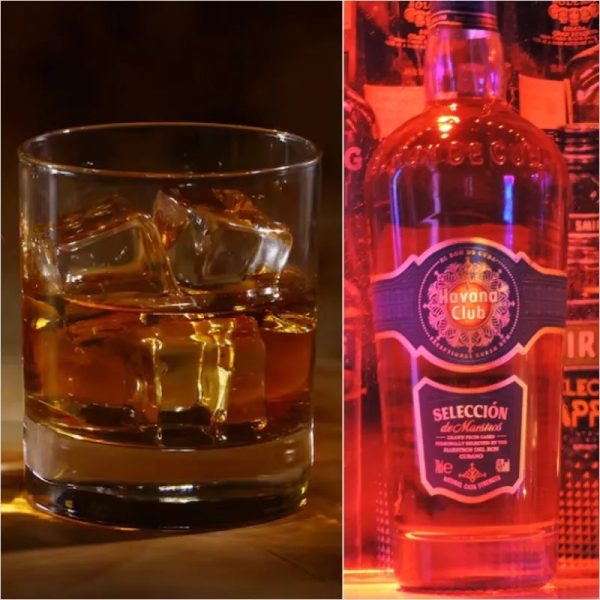Ron Havana Club Selección de Maestros