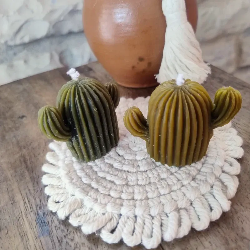Vela aromática con forma de cactus