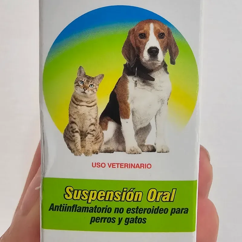 RX RELAXICAM ® SUSPENSIÓN ORAL 10 ml