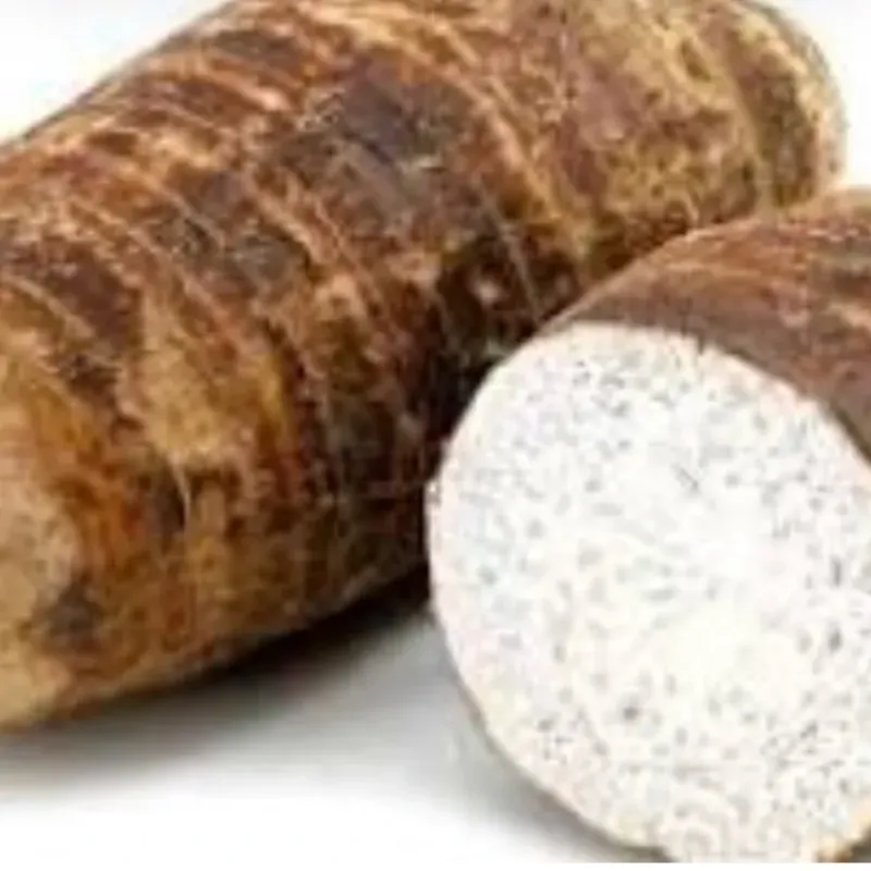 Malanga
