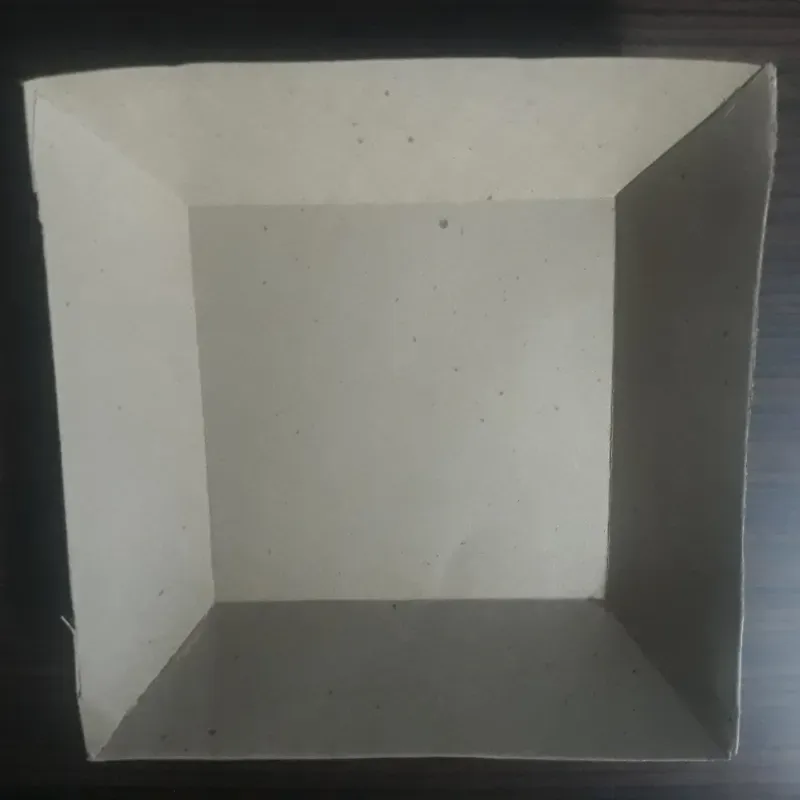 BANDEJA DE CARTON 8X8