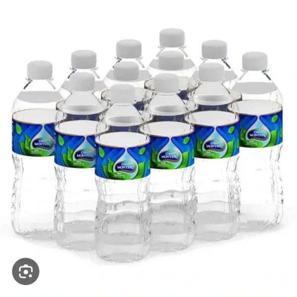 Agua mineral 1LT