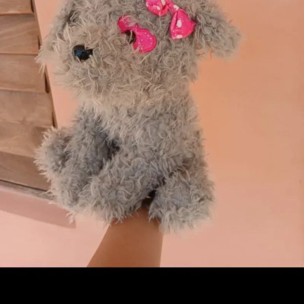 Perrito gris