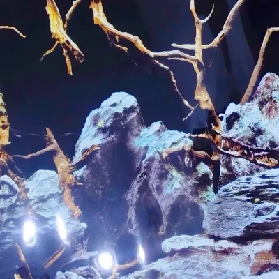 Metro de papel tapíz para acuario o pecera