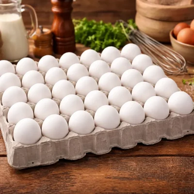 Huevos de exportacion