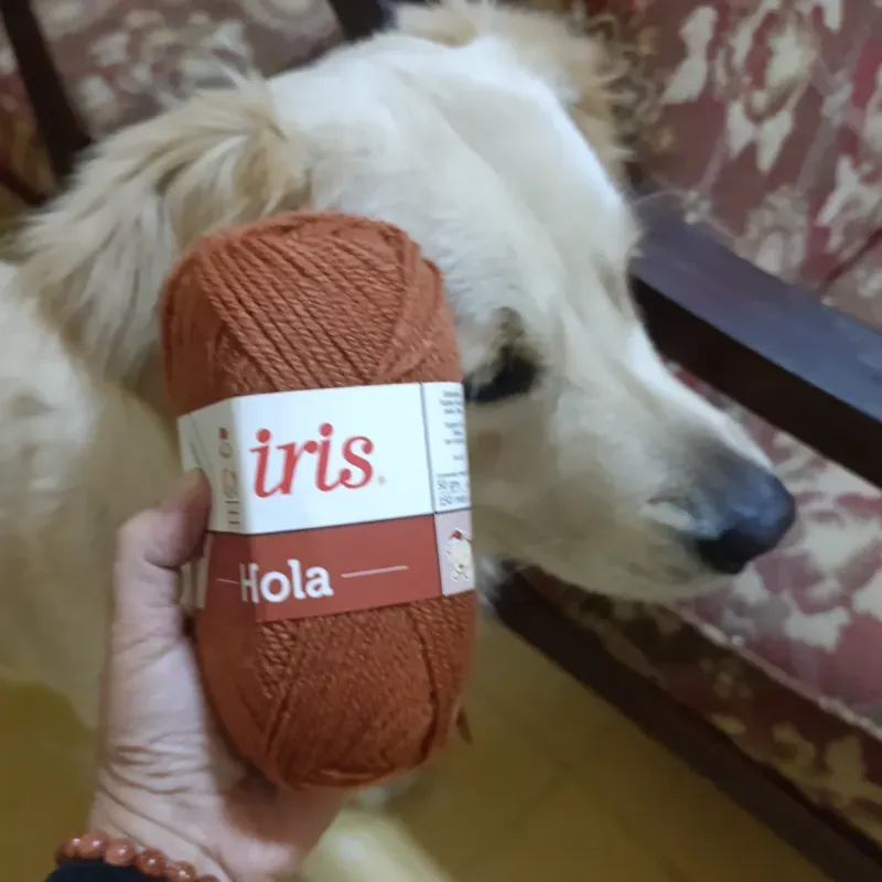 Hilo estambre Iris color Terracota