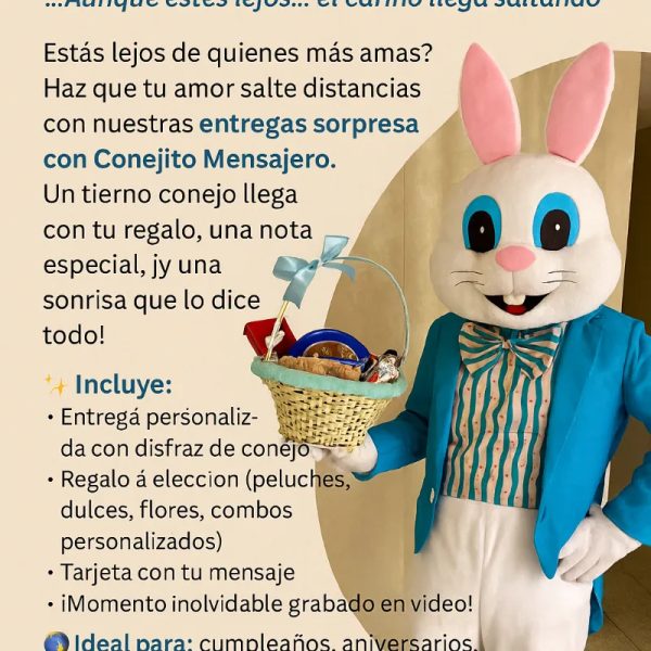 Animación conejito mensajero
