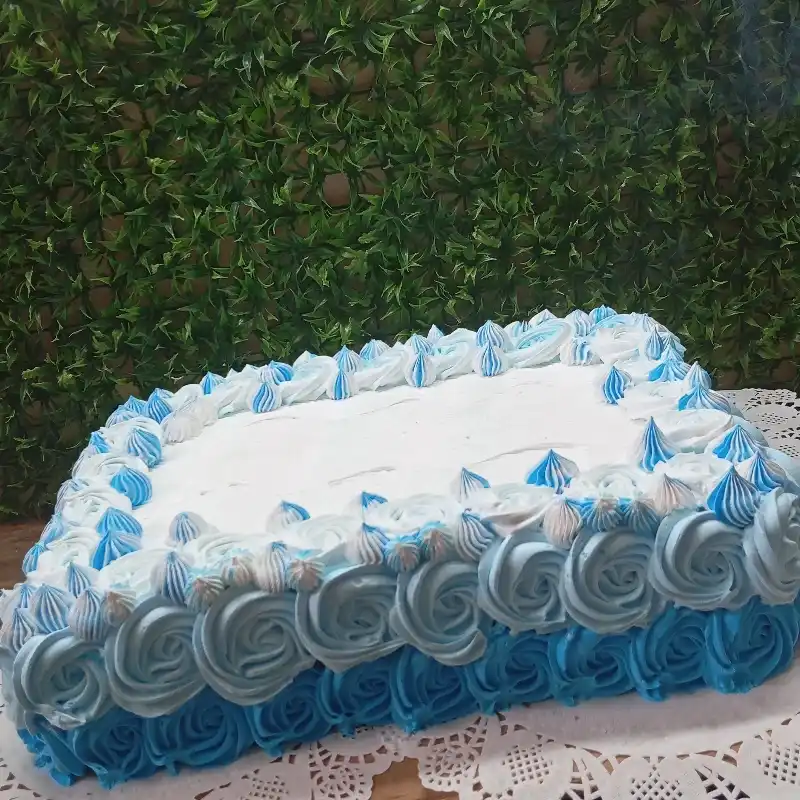 KAKE DE BANDEJA COMPLETA