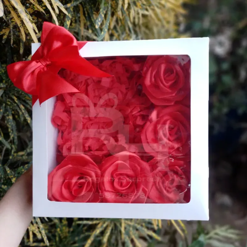 Cajitas vacías con tapa transparente