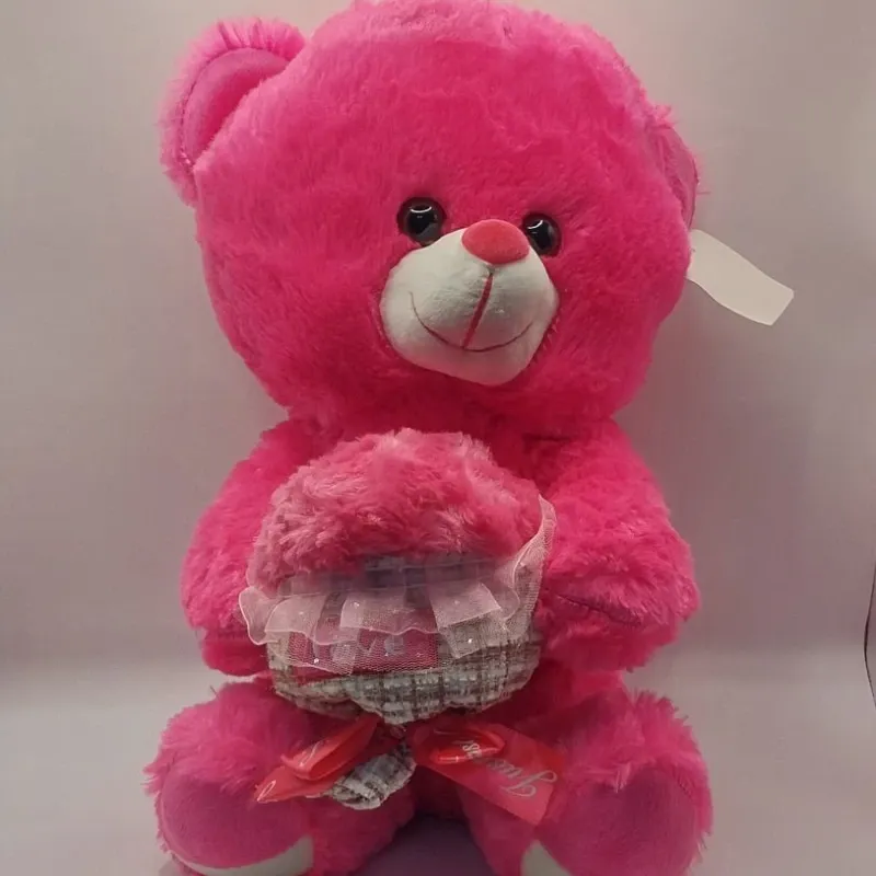 Oso de Peluche fucsia