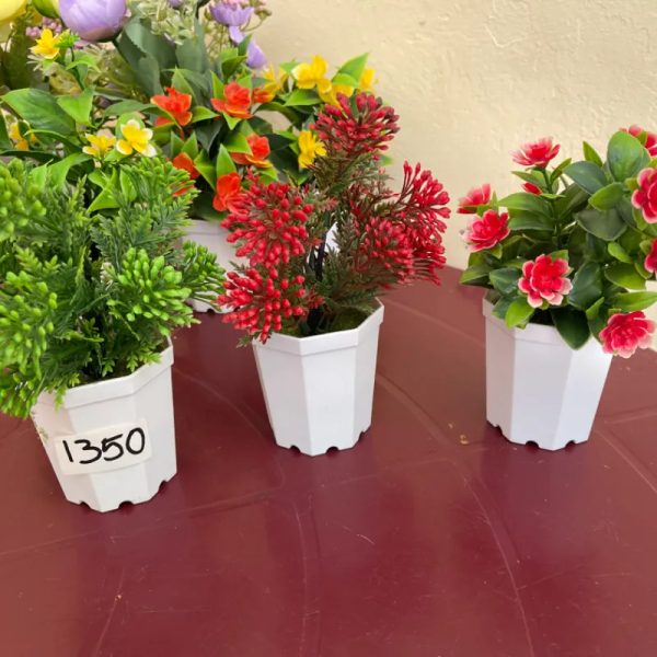 Macetas con flores