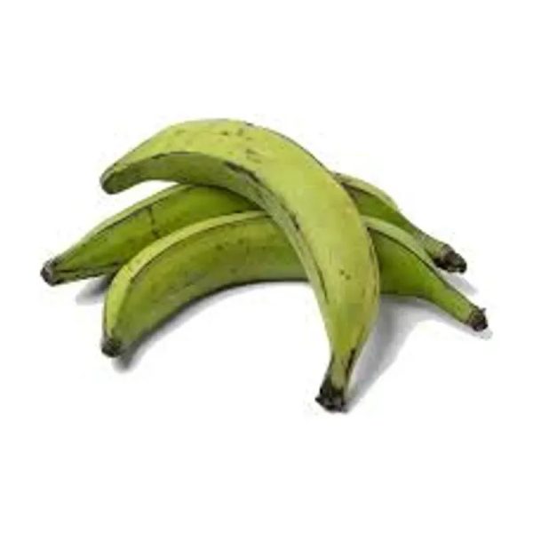 Plátano Macho