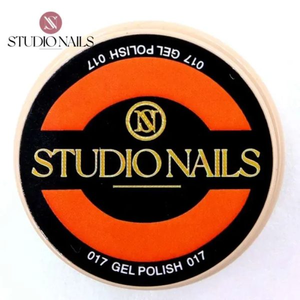 Painting Gel 017