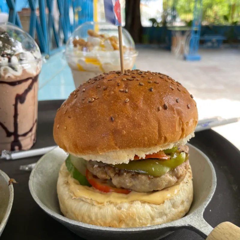 Hamburguesa de Pollo simple