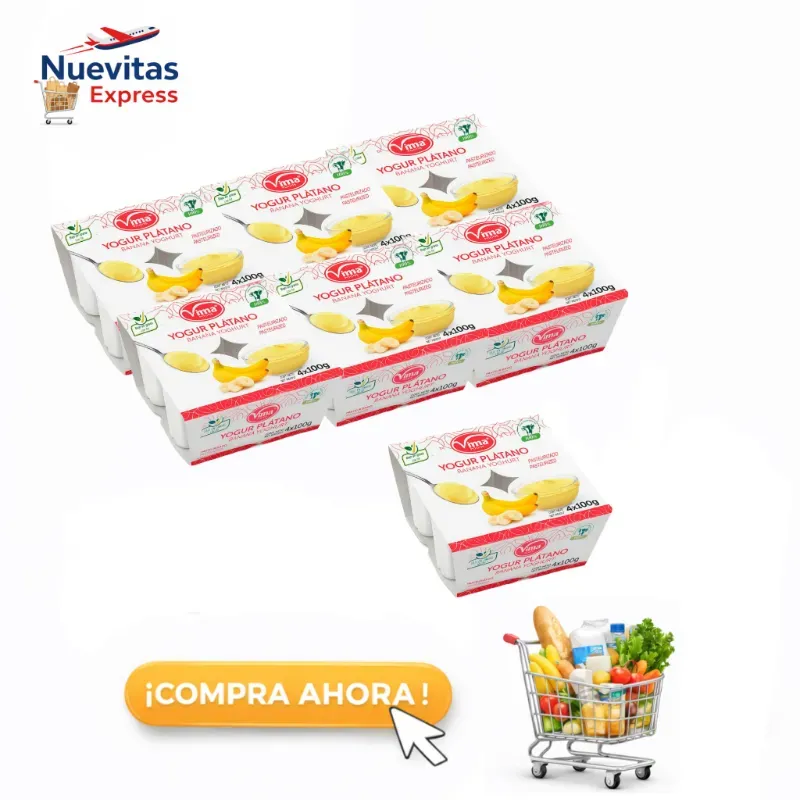 Caja de 24 Yogurt de Platanito