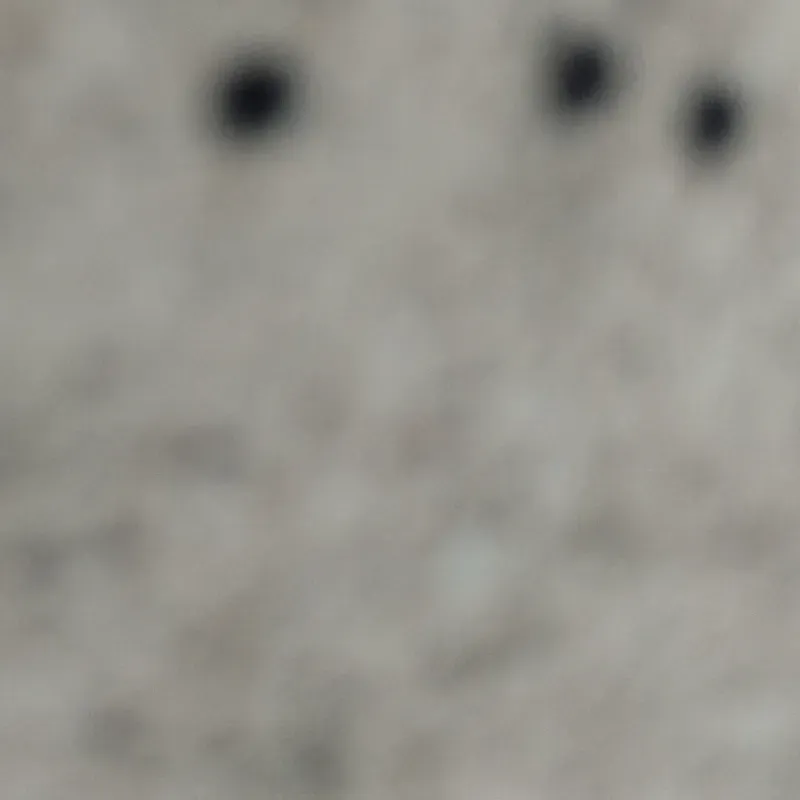 Pasadia en el Yatch Club en Cienfuegos con Lets travel