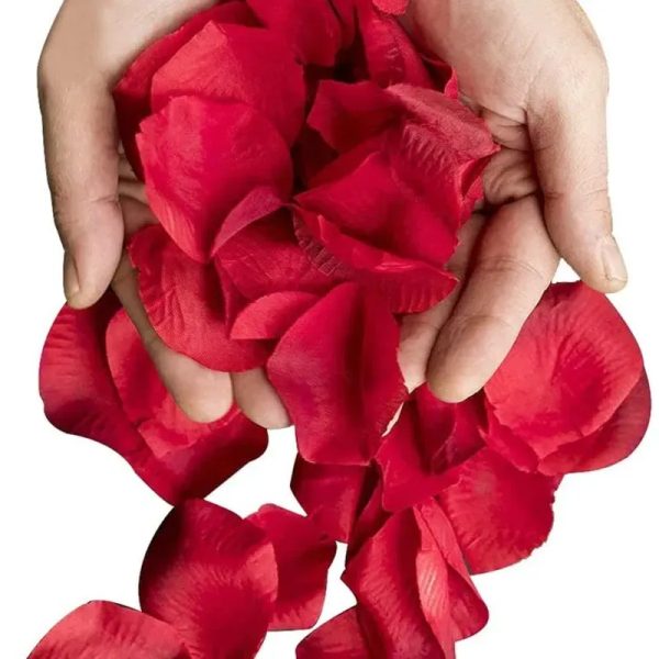 Pétalos de rosa rojos