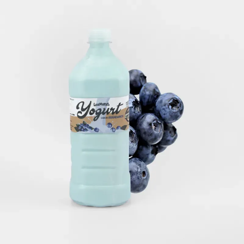 Yogurt Probiótico de Arándanos 1L