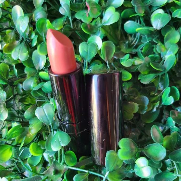Labial nude de barra