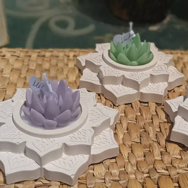 Flor de Loto Jardín