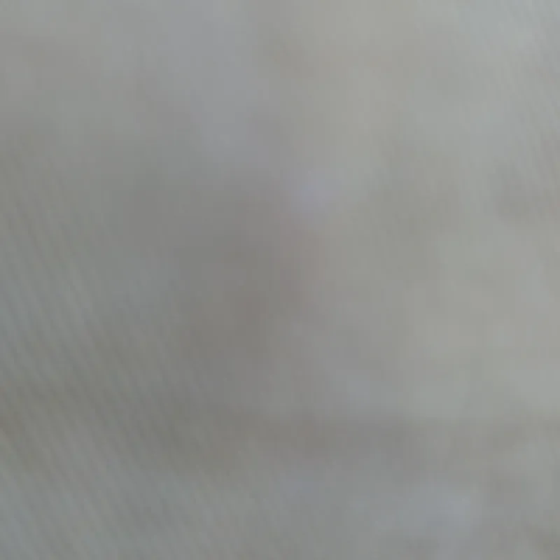 Excursión al parque natural el Nicho con Lets travel