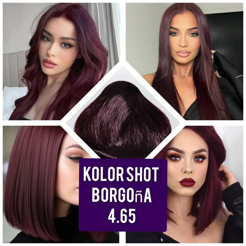 Tinte Shot 4.65 borgoña