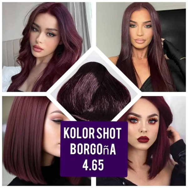 Tinte Shot 4.65 borgoña
