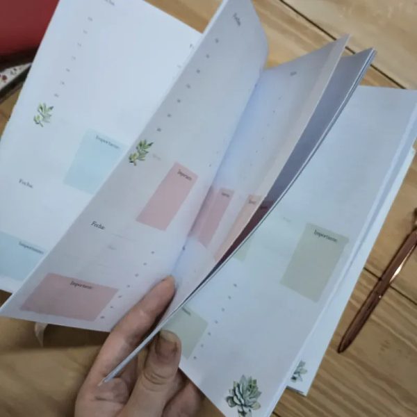 Planner de suculentas