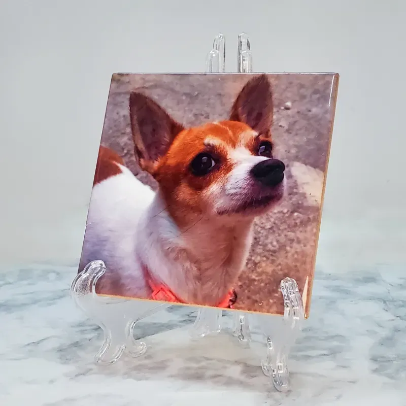 Loza de cerámica 10x10cm