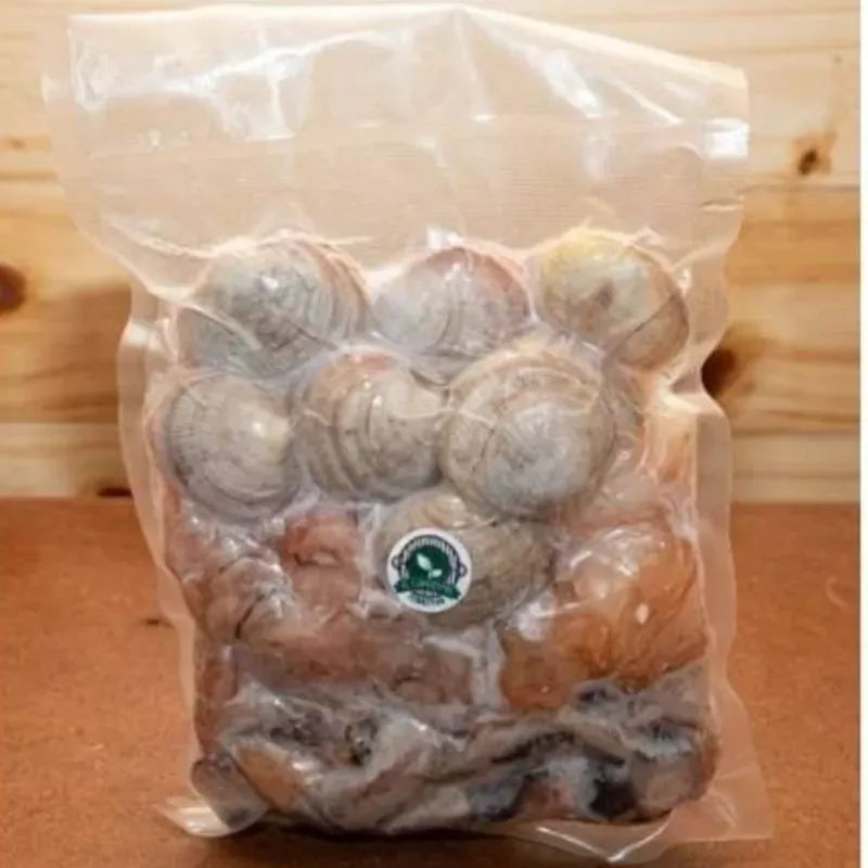 Kit paellero al vacío KG