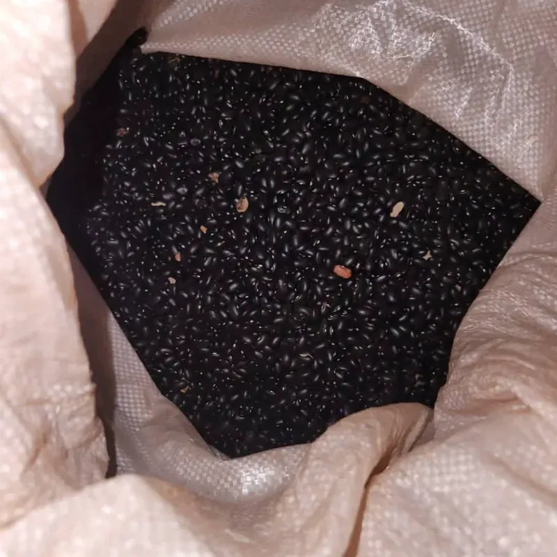 Frijoles negros x Libra