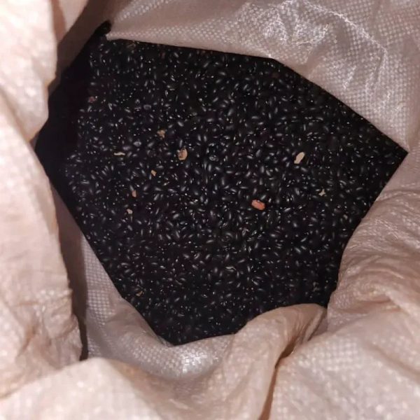 Frijoles negros x Libra