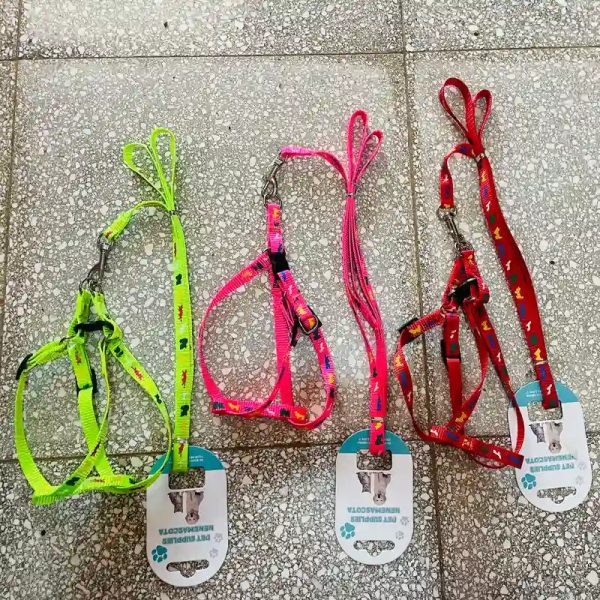 Correas de Paseo