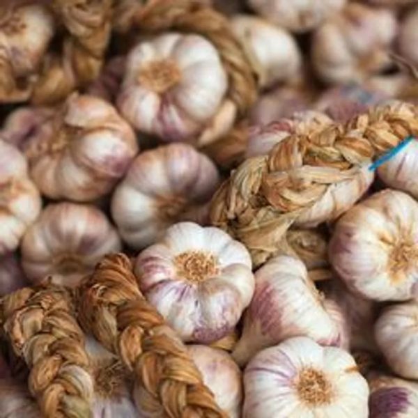 Pata de Ajo