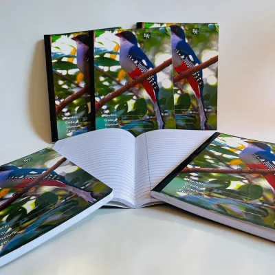 Libreta Rayada de 200 Páginas 