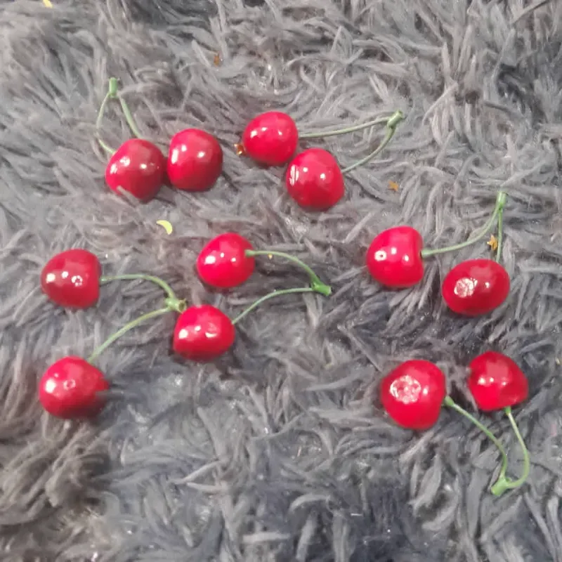 Ramita con 2 cerezos