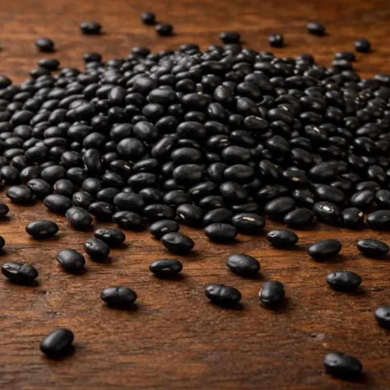 Frijol negro x Lb