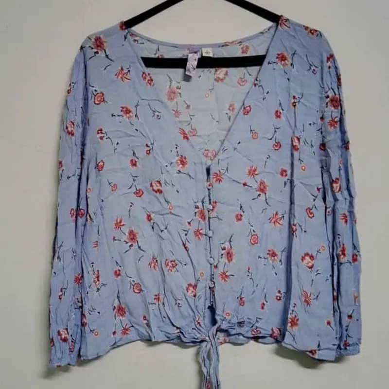 Blusa