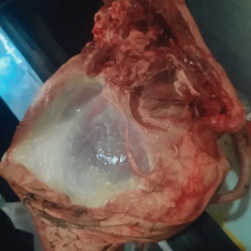 Pierna de Cerdo