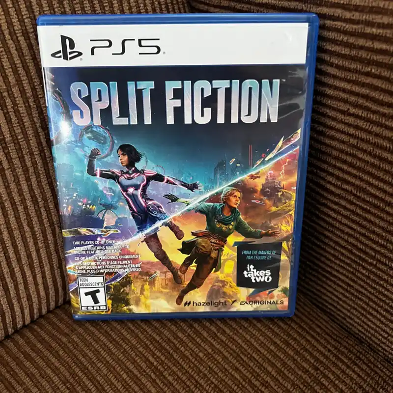 Split Fiction