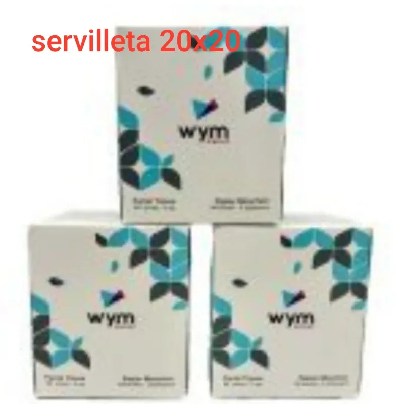 SERVILLETA 20X20