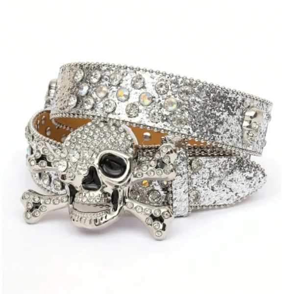 Silver Skull