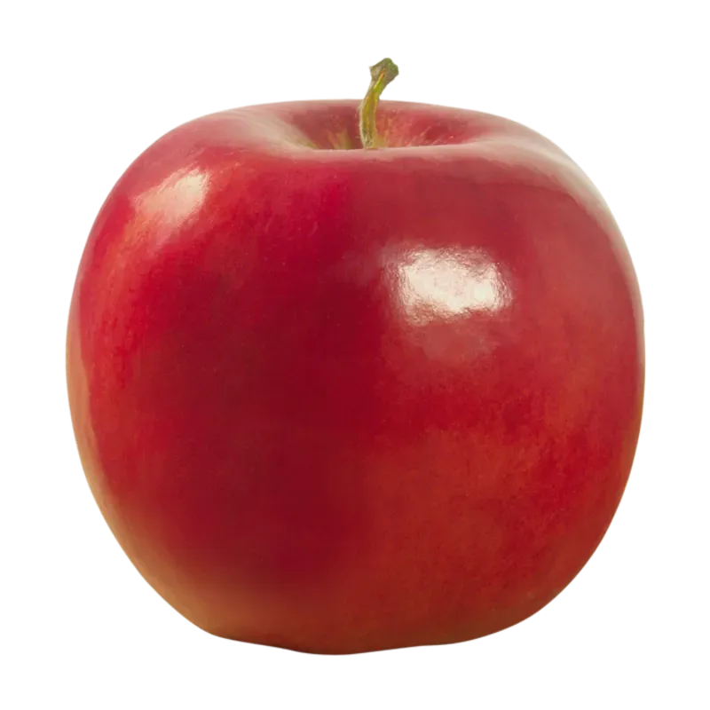 5 MANZANA