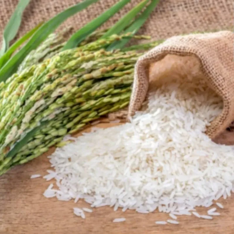 Arroz