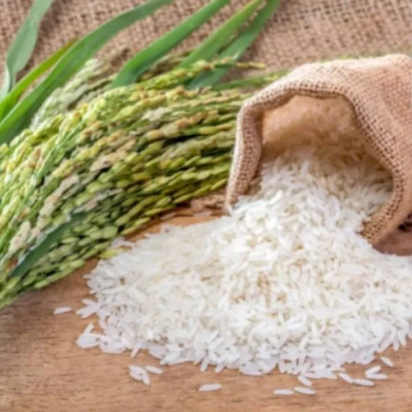 Arroz