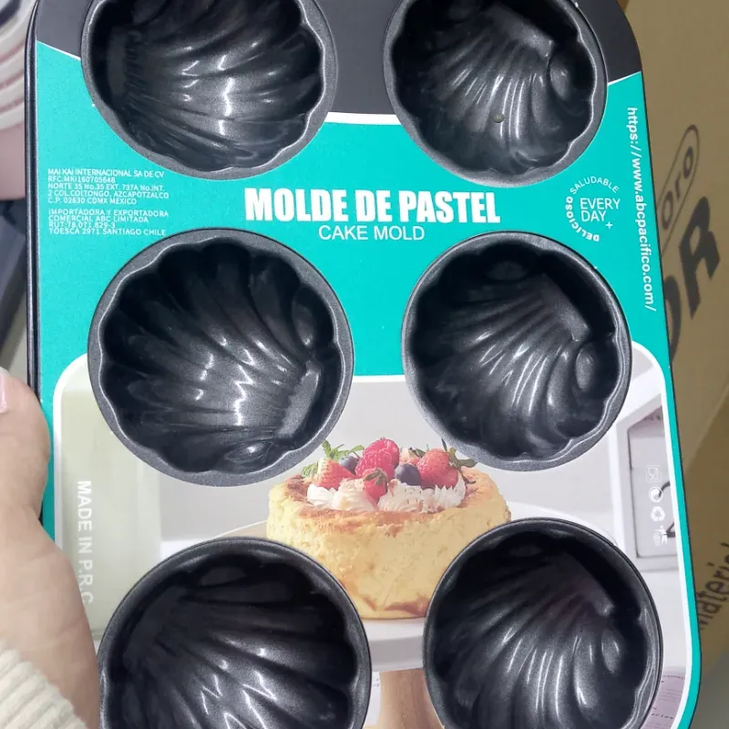 Molde concha 6 capacidades