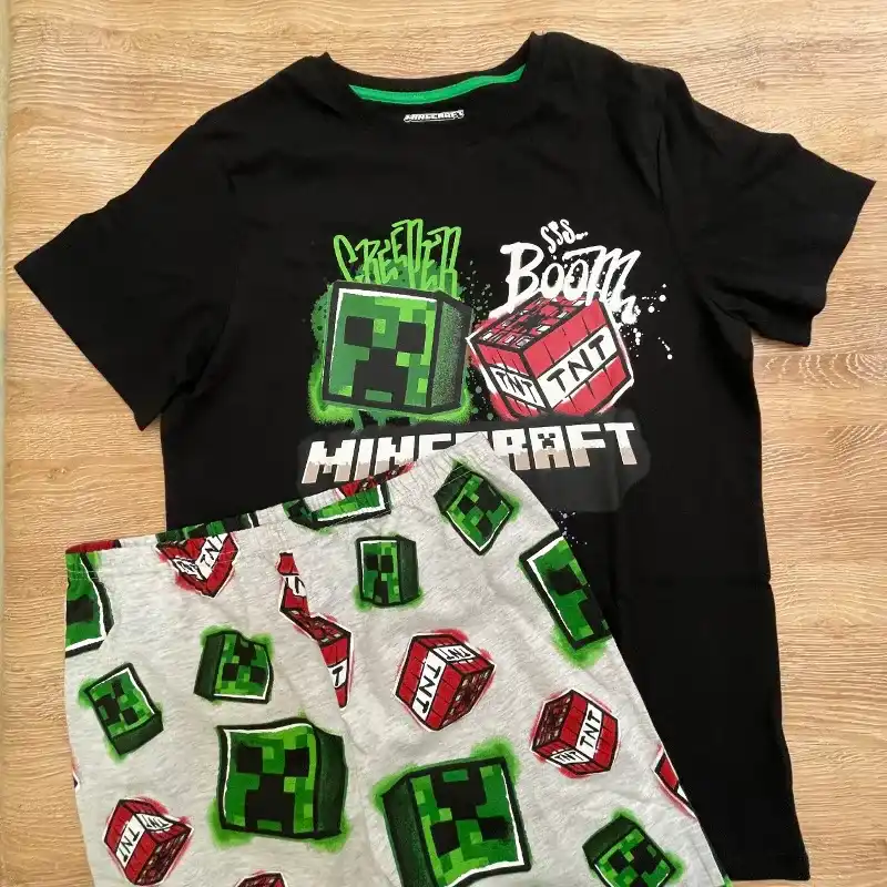 Conjunto de Minecraft
