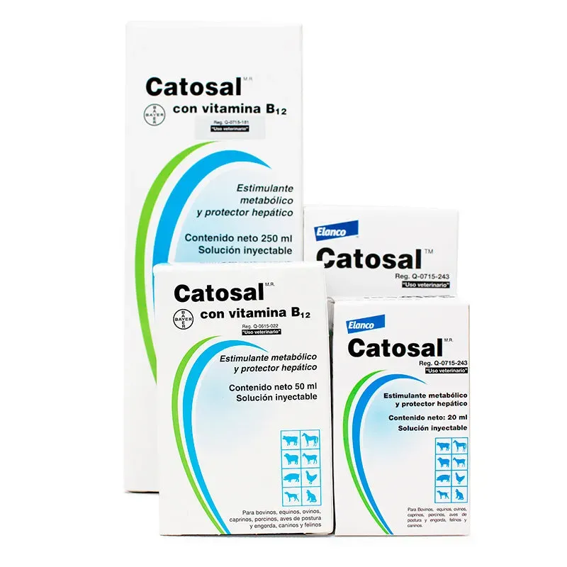 Catosal 100ml