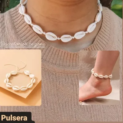 Combo de conchas naturales