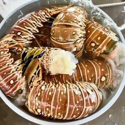Colas de Langosta